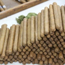 Bavaro cigars