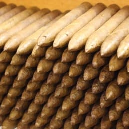 Bundled cigars