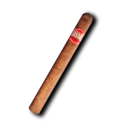 Bavaro Cigar - Churchill